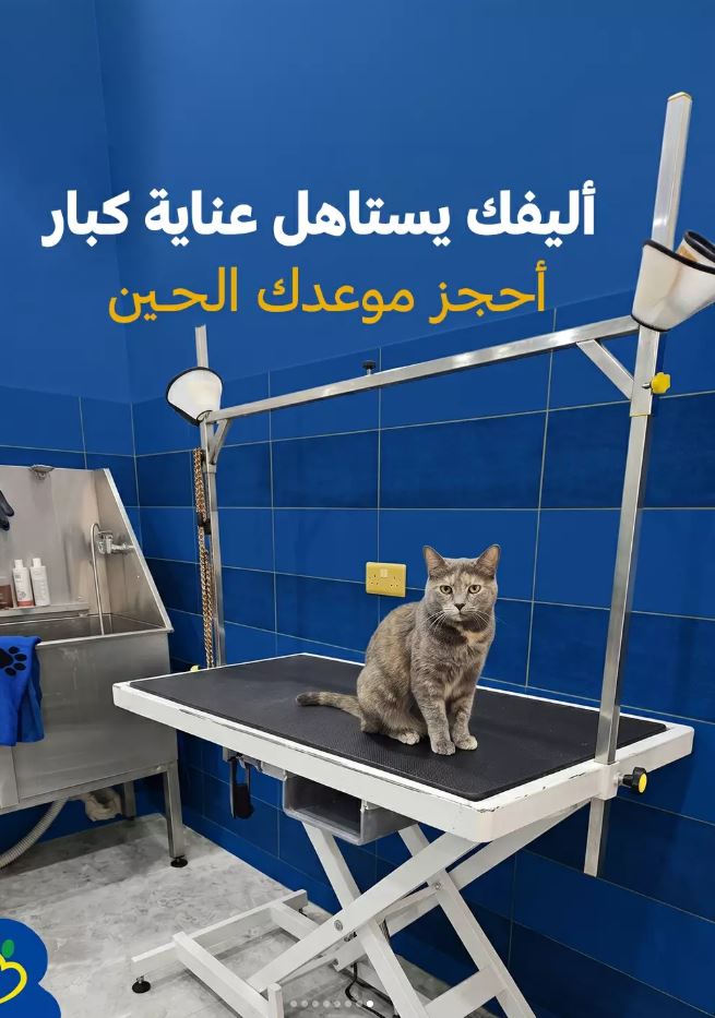 Pet Care Kuwait website built by Studio Safha